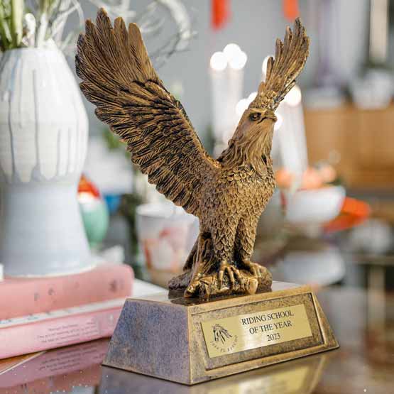 Custom Gold Eagle Award Resin Trophy With Gold Metal Plate with Your Text and Logo on Desk Near Books