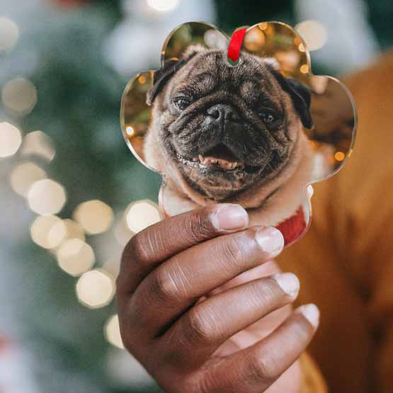 Holding Dog on Paw Print ornament