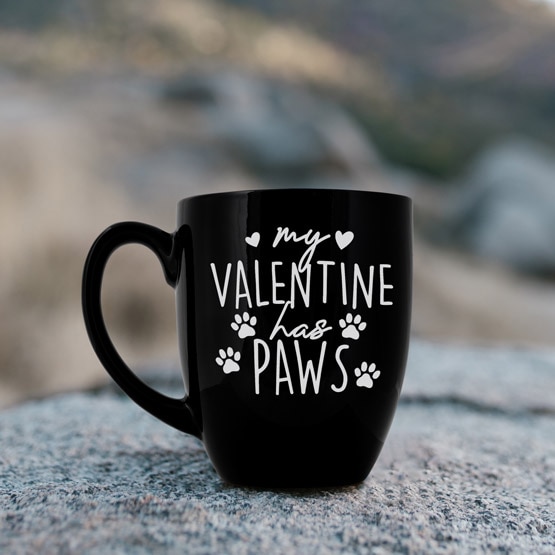 My Valentine has Paws Mug on Rock