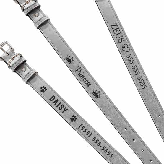 Gray Dog Collar Engraving Example