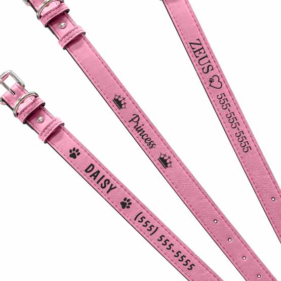 Pink Dog Collar Engraving Example