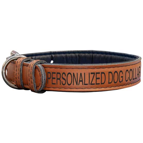 Custom Rawhide Dog Collar with Text