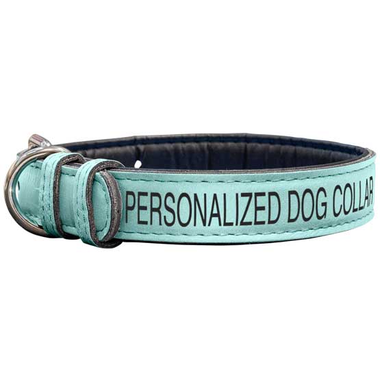 Custom Teal Faux Leather Dog Collar