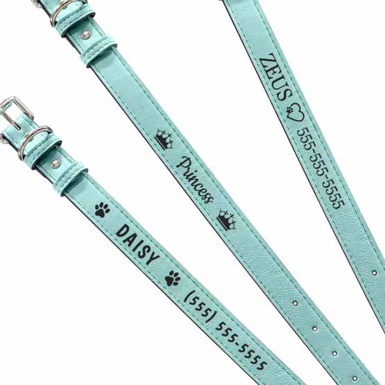 Teal Dog Collar Engraving Example