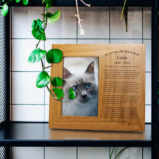 Rainbow Bridge Frame on Shelf