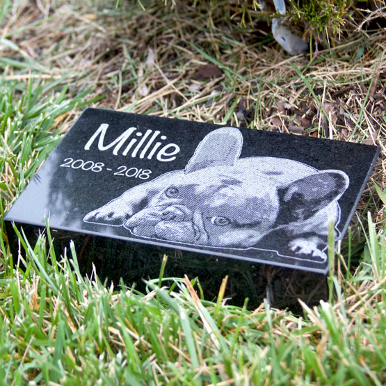 Dog Granite Headstone in Grass