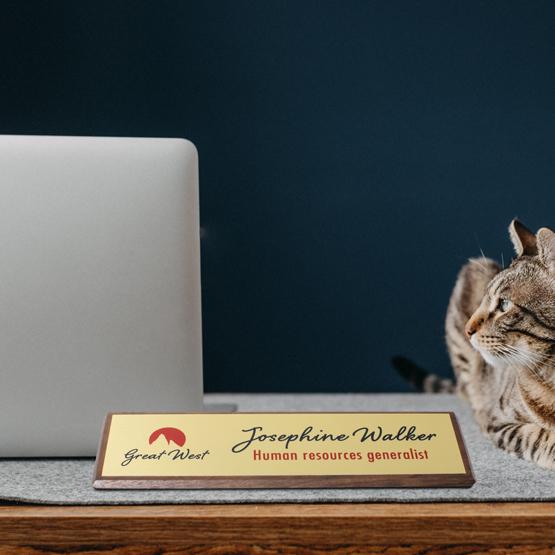 Walnut Desk Wedge & Cat on Desk