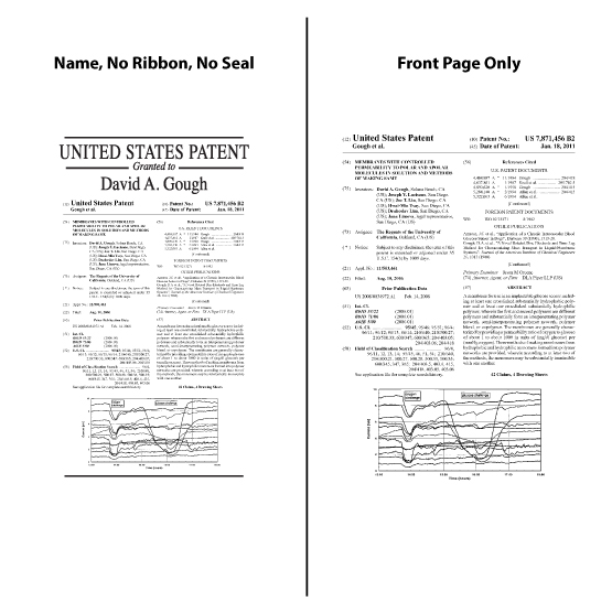 Acrylic Patent Plaque Design Option