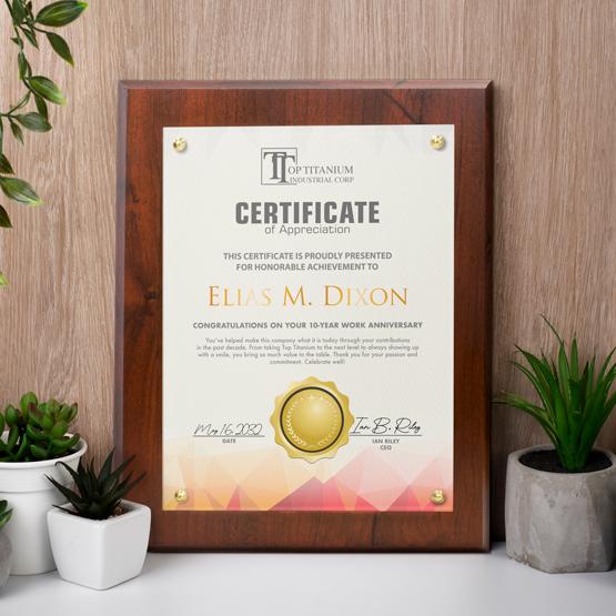 Certificate Plaque Kit with Plexiglass and Gold Pins leaning against wall with small plants. 