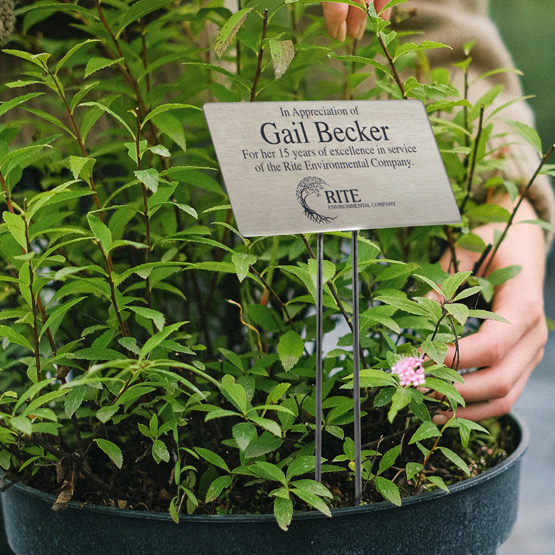 Custom Stainless Steel Garden Sign Engraved with your Logo and Text in a Potted Plant.